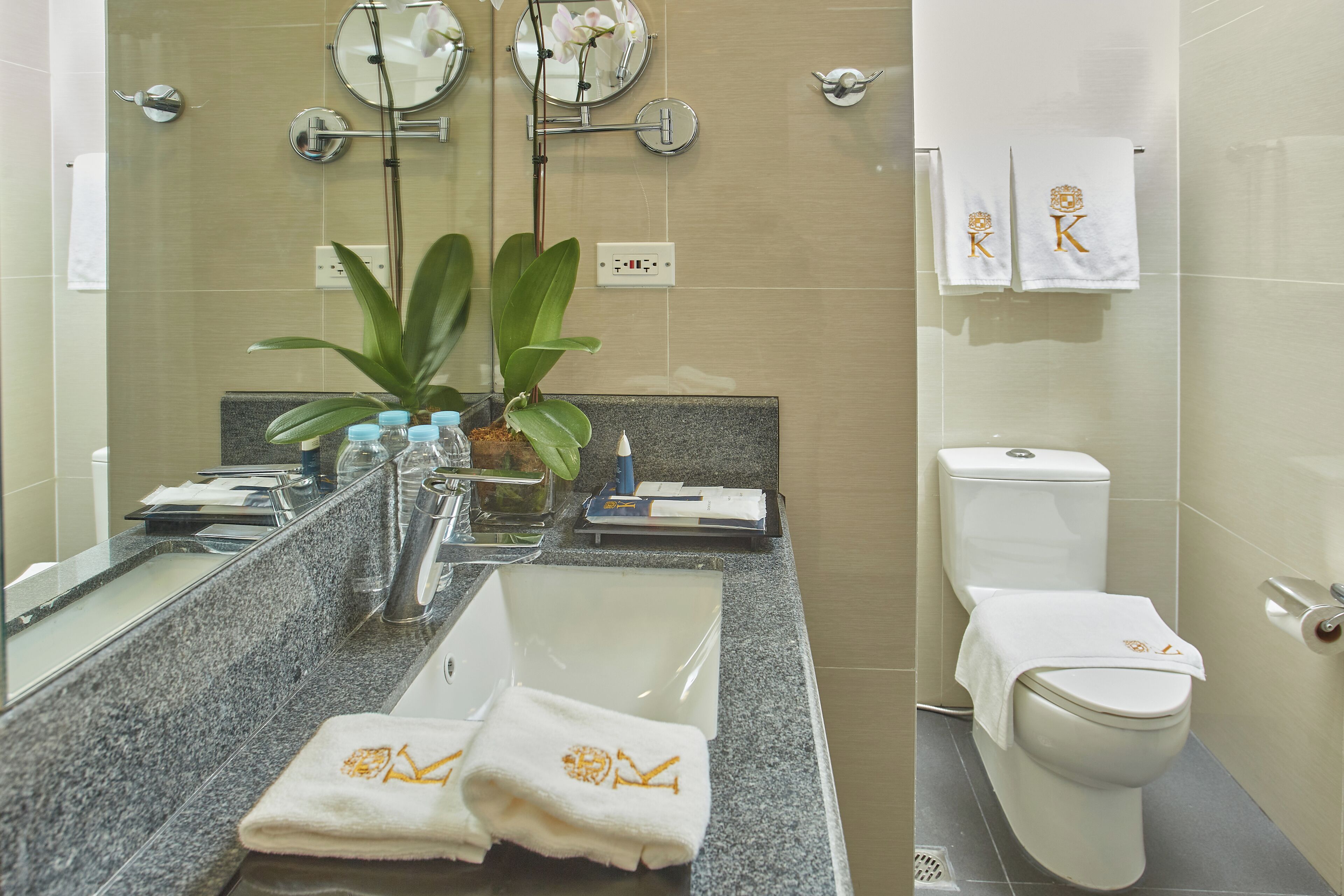 A bathroom with a granite countertop, a sink, a mirror, a toilet, and a potted plant.