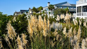 A coastal residential area with houses featuring balconies and large windows, surrounded by tall grasses and greenery.
