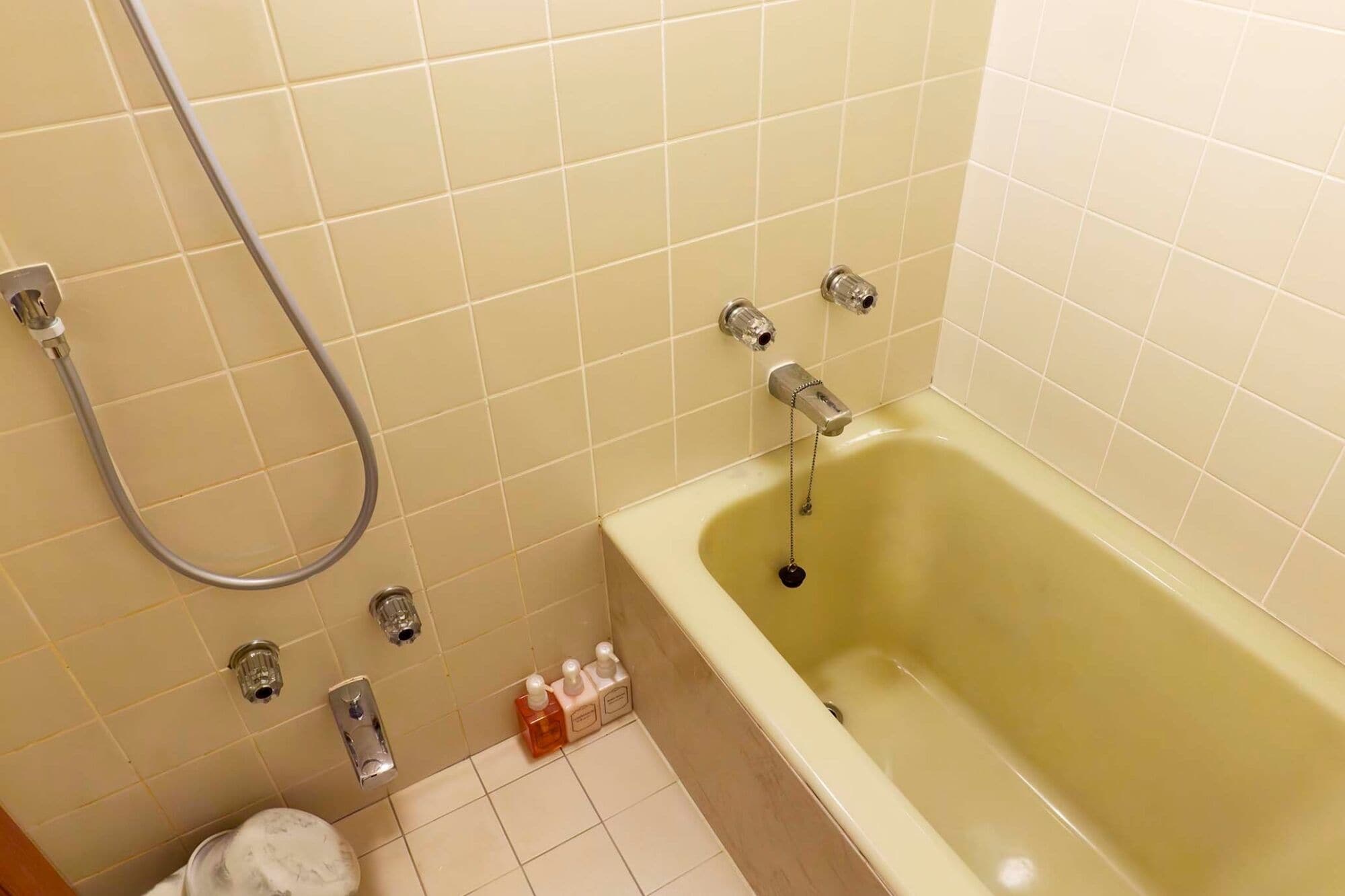 Un baño con bañera, ducha e inodoro.