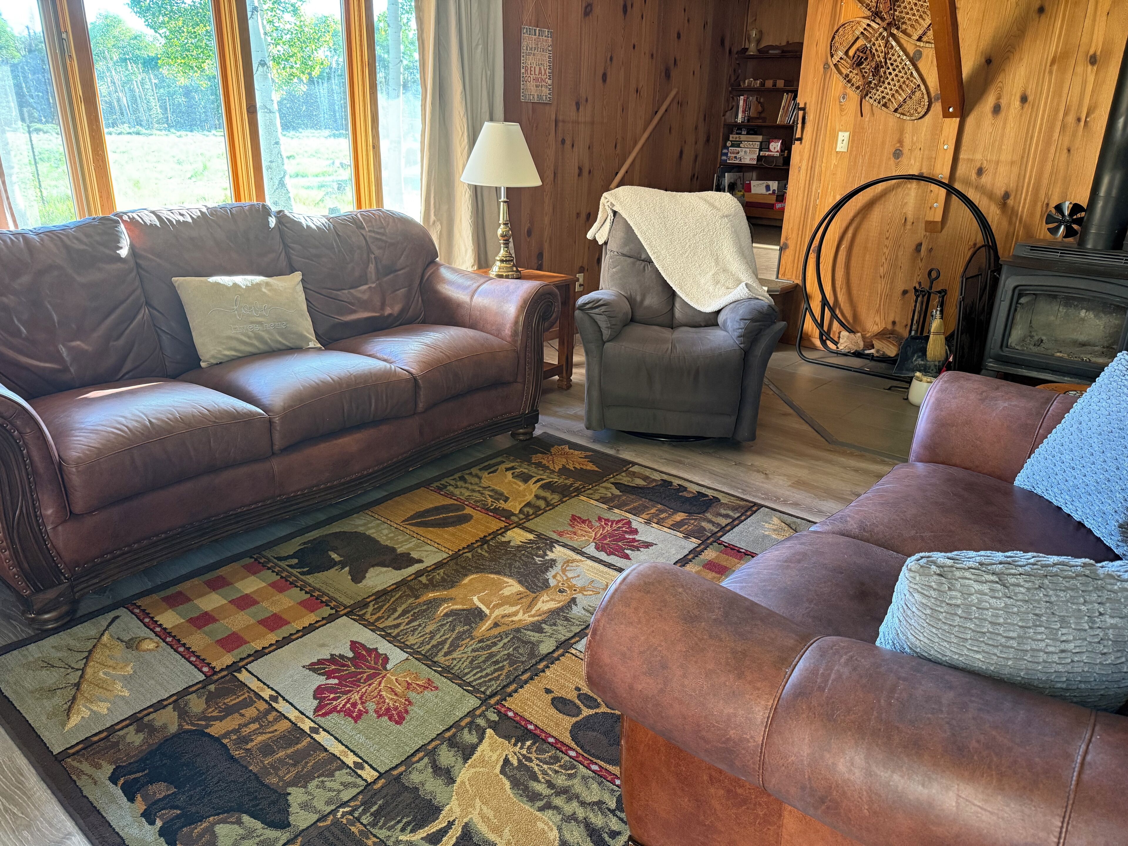 TV connectée, cheminée, lecteur de DVD, livres