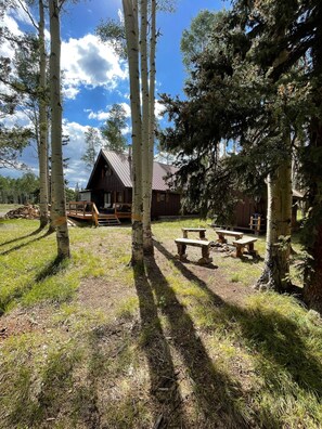 Outdoor dining - Hunter, snowmobile, Xcountry ski and snowshoe friendly! (Cimarron)