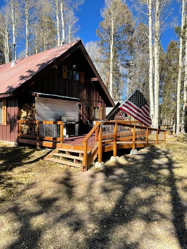 En rustik hytte med veranda og flag.