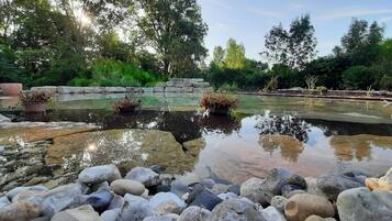 A tranquil garden pond surrounded by rocks and potted plants, with a stone wall in the background.