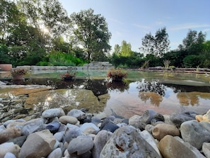 Um lago tranquilo no jardim, cercado por pedras e plantas em vasos, com um muro de pedra ao fundo.
