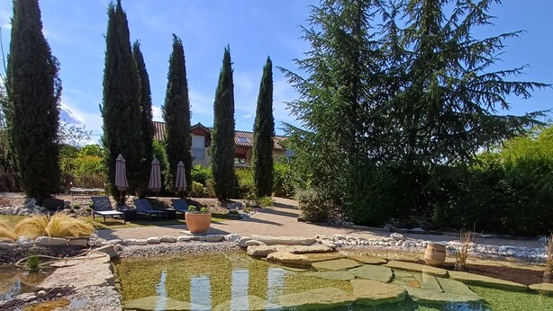 A clear outdoor pool with surrounding stone and plant features, a seating area with lounge chairs and umbrellas, and tall trees in the background.