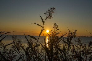 Imagen sin descripción, 4 de 38, botón