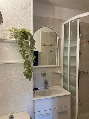 Regadera, secadora de cabello, papel de baño