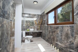 Hair dryer, towels, soap, toilet paper