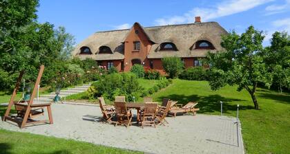 Hollandwarft Kleine Kate