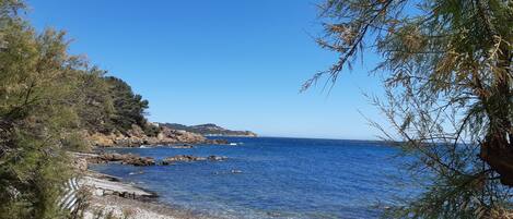 ビーチの近く、サンラウンジャー