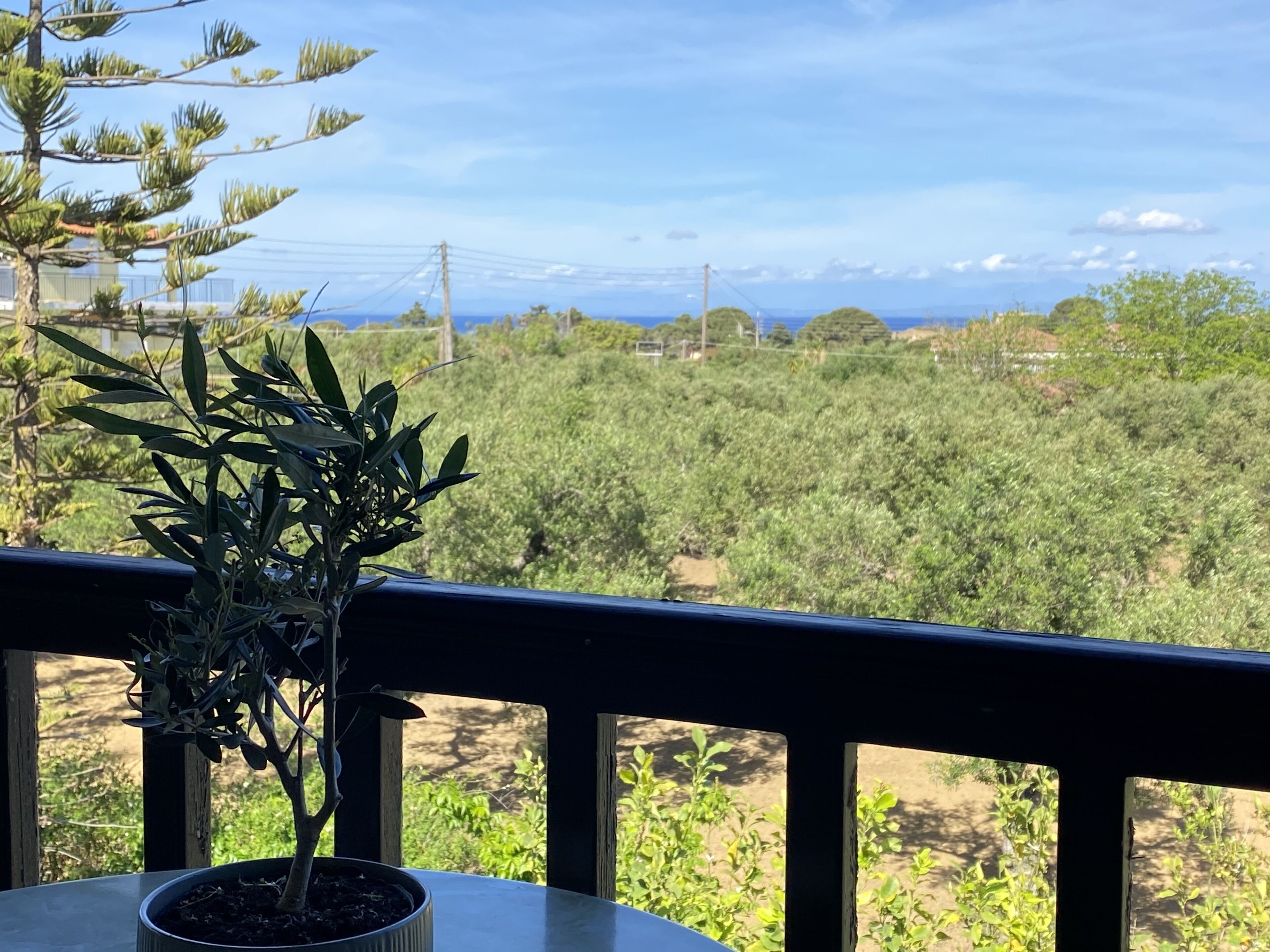 Basic Apartment | View from room