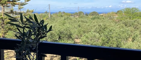 Basic Apartment | View from room