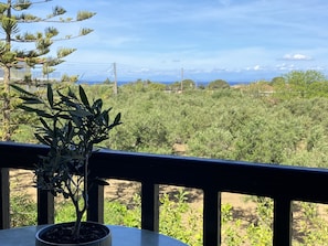 Un balcone con una pianta in vaso, affacciato su un giardino rigoglioso e un paesaggio lontano.