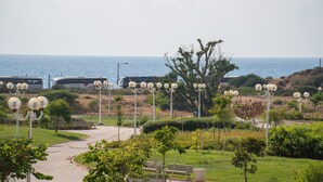 Vista al jardín