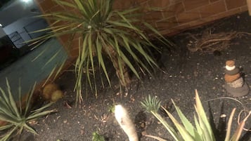 DĂ©tail de lâextĂ©rieur