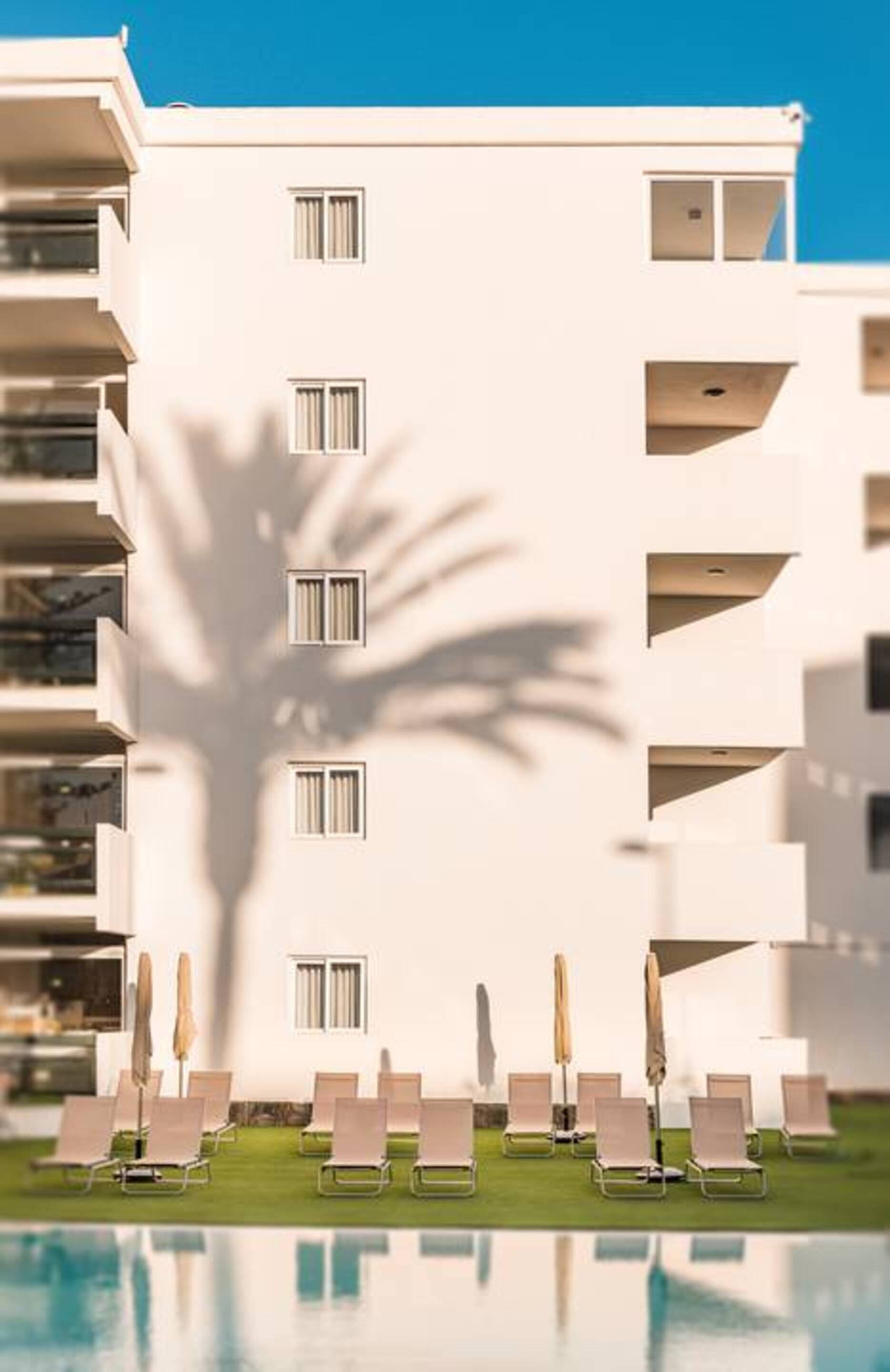 Un hotel moderno con zona de piscina, tumbonas y la sombra de una palmera.