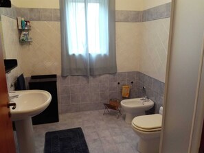 Douche, sèche-cheveux, bidet