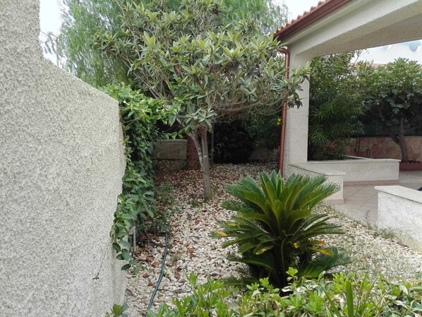 Un giardino con diverse piante e un muro in pietra.