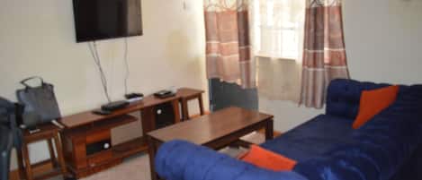 Smart TV, Netflix, streaming services