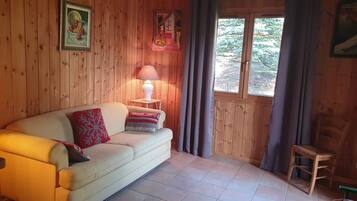 Televisión, chimenea y reproductor de DVD