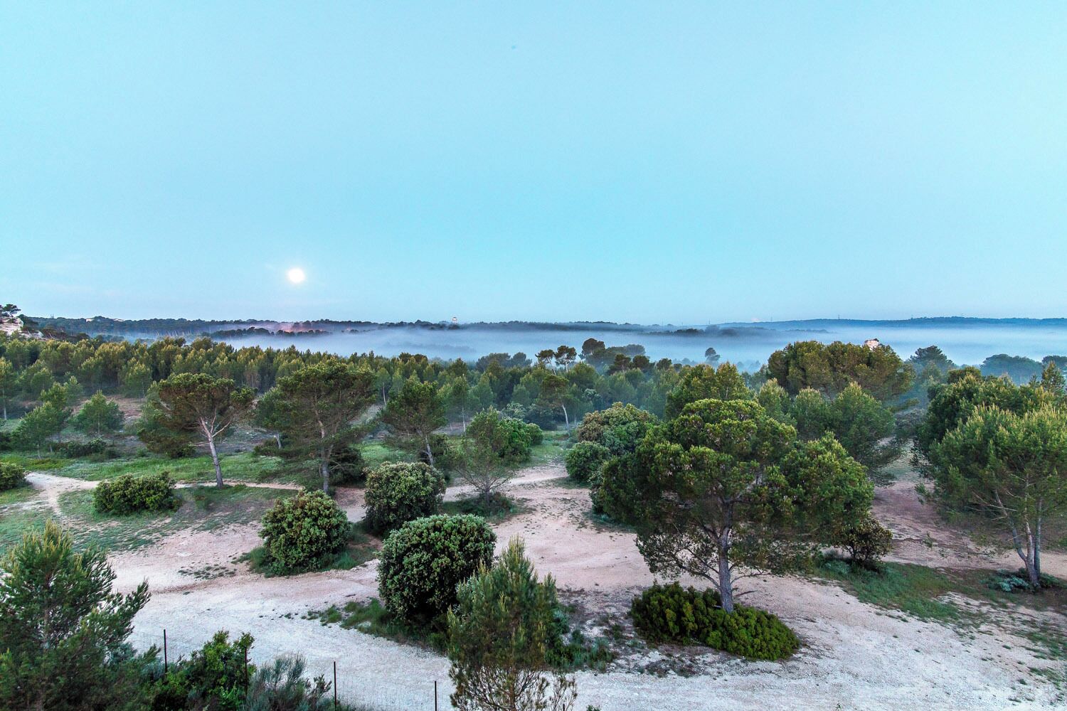 premium twin room | 1 bedroom, premium bedding, memory-foam beds, individually furnished