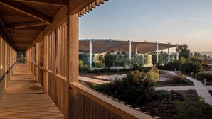 Un pasillo cubierto de madera que conduce a un edificio moderno con paredes de vidrio.