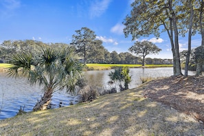 المنطقة المحيطة بالمنشأة