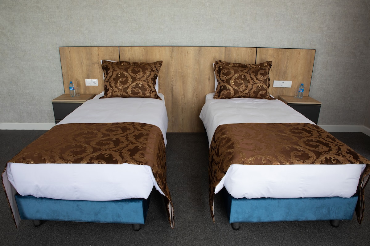 Standard Twin Room | Hypo-allergenic bedding, minibar, desk, laptop workspace