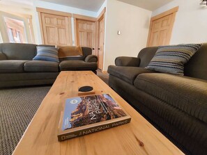 電視、壁爐、電子遊戲、DVD 播放機