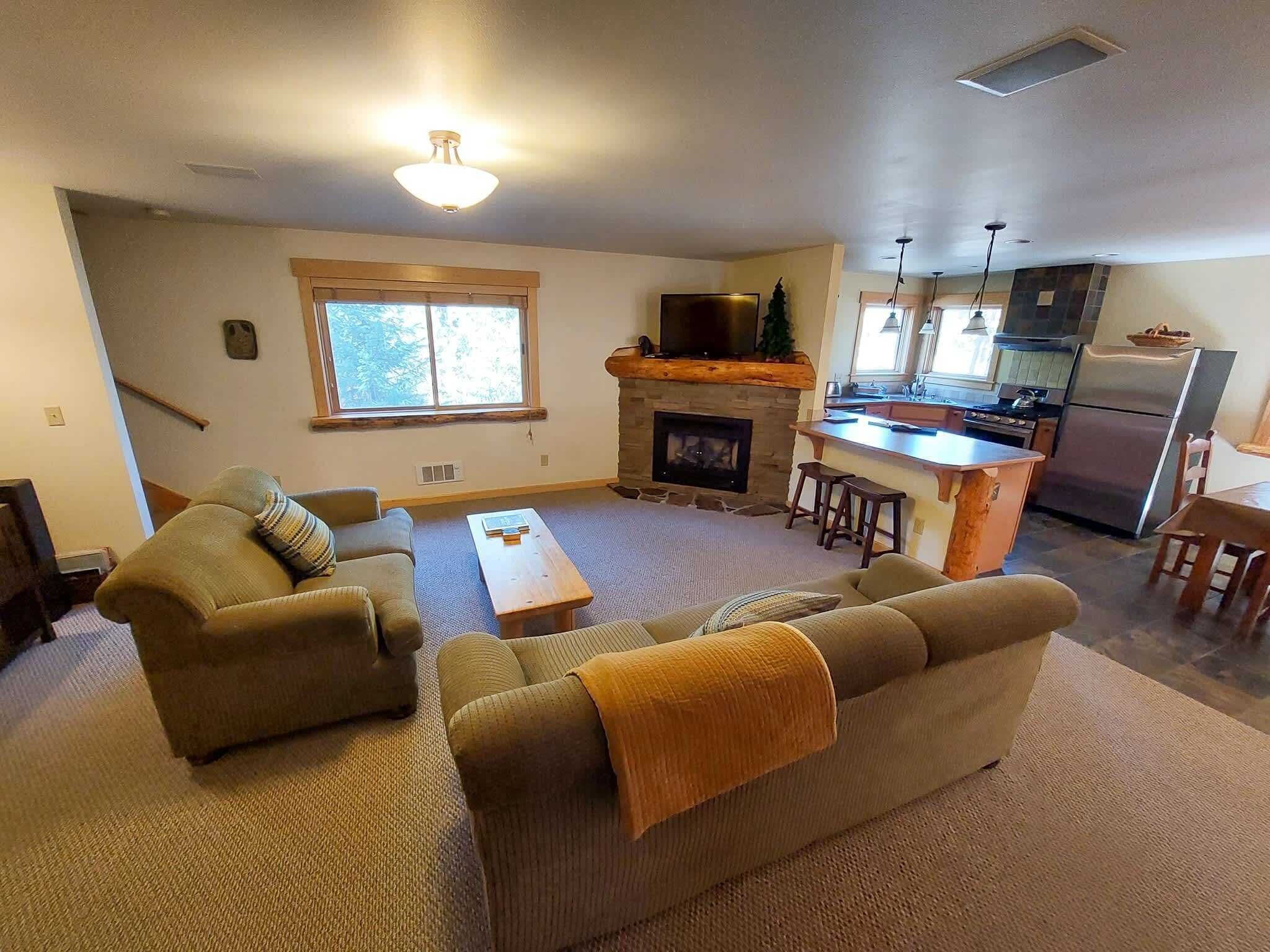 TV, fireplace, video games, DVD player