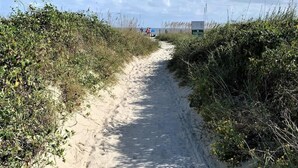 Un sendero arenoso bordeado por vegetación densa, que se dirige hacia una estructura distante.