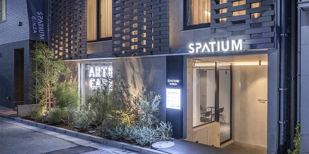SPATIUMGINZA PONY image
