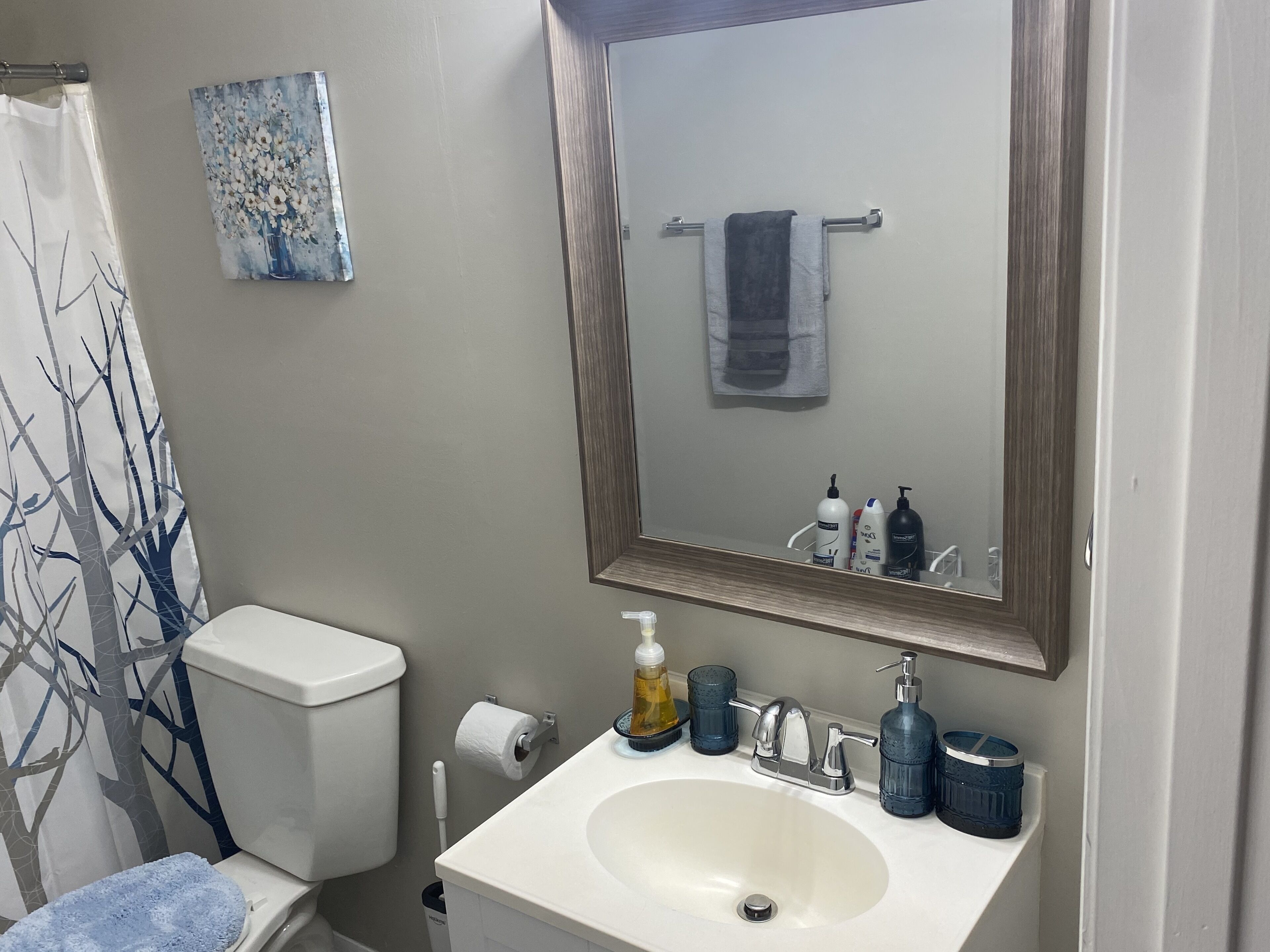 Tina con regadera, toallas, jabón, shampoo 