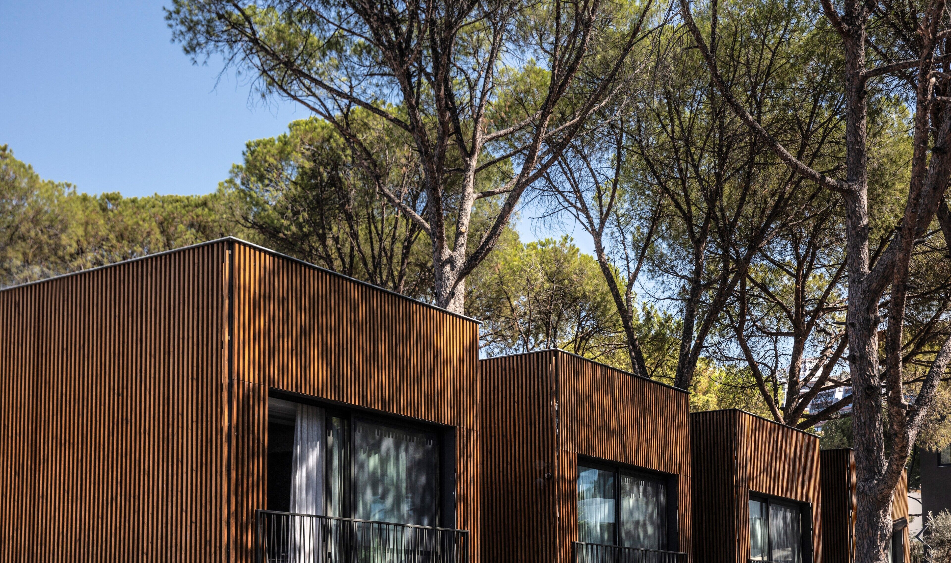 Un edificio moderno con revestimiento de madera vertical, ventanas amplias y vistas a árboles circundantes.