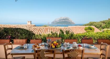 Villa Kiki - infinity pool overlooking Tavolara