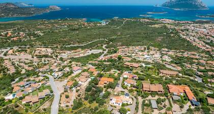 Villa Kiki - infinity pool overlooking Tavolara