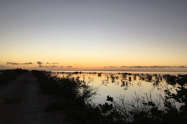 View looking out over the water