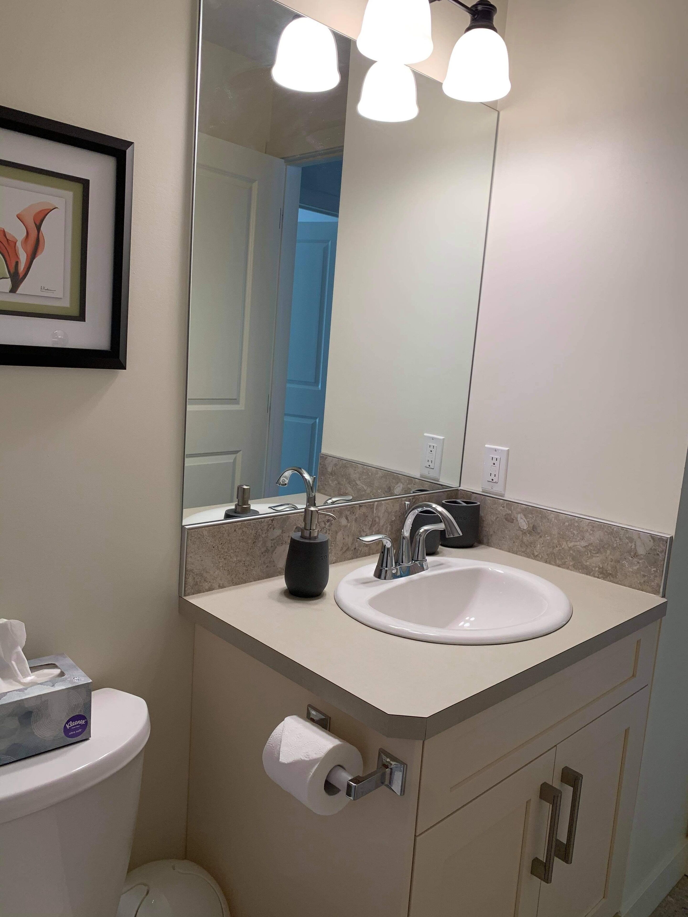 A bathroom with a white sink, a mirror, a framed artwork, and a toilet.