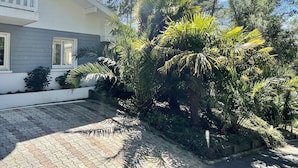 A modern house with a satellite dish, a paved driveway, and lush greenery including palm trees and pine trees.