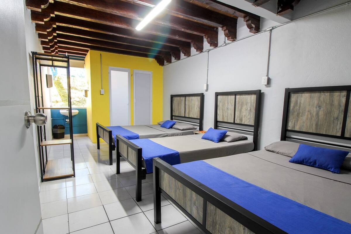 Een hotelkamer met vier enkele bedden, elk voorzien van een houten hoofdbord en blauw beddengoed.