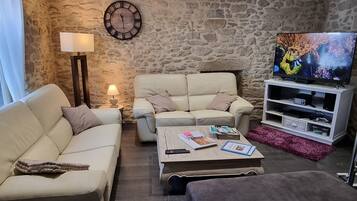 TV connectée, cheminée, jeux vidéo, lecteur de DVD