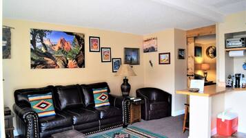 TV, fireplace, books