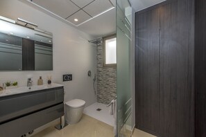 Douche, séchoir à cheveux, serviettes fournies