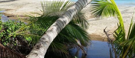 Perto da praia