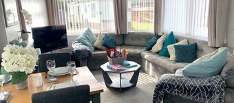 Silver Birch, Northumberland