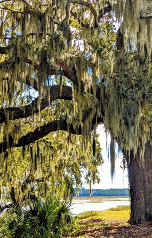 Imagen sin descripción, 3 de 18, botón