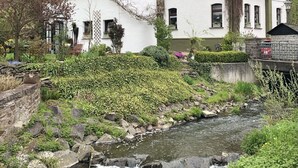 En hvid bygning med et tag af fliser, omgivet af frodigt grønt og en rindende å.