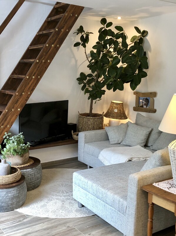 TV connectée, livres, chaîne hi-fi