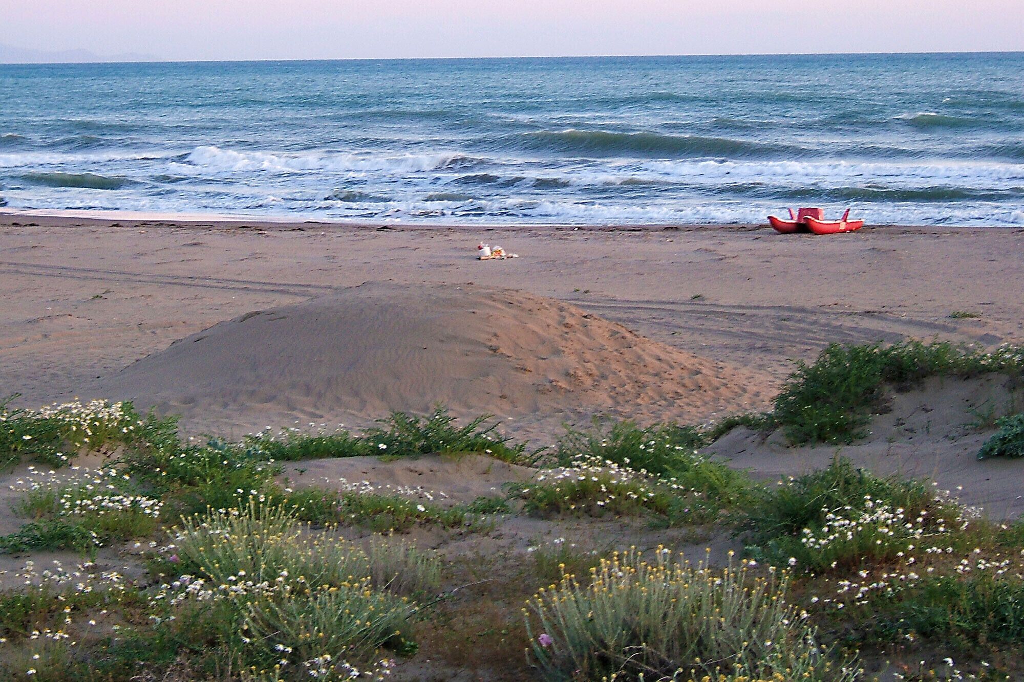 Uma praia com uma duna, alguma vegetação e um barco vermelho ao longe.
