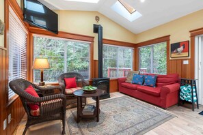 Smart TV, chimenea y libros 